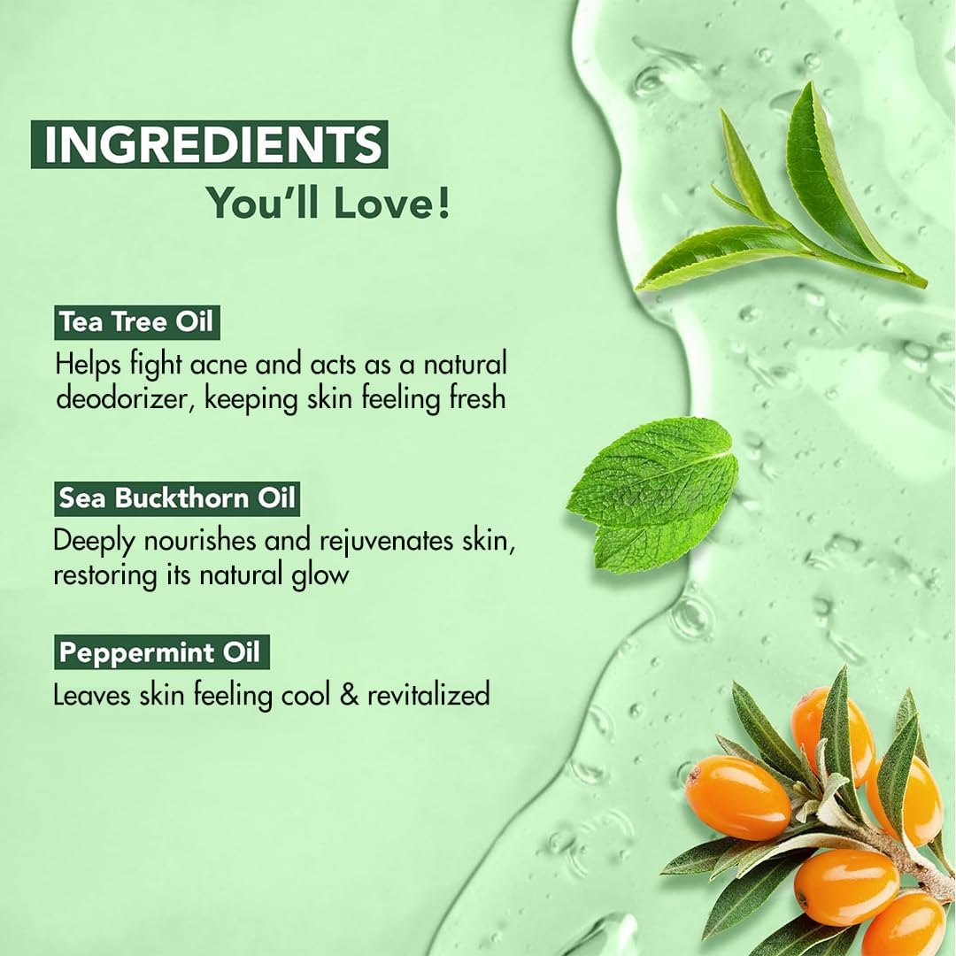 Botanic Hearth Tea Tree Body Wash 16 fl oz (2 Pack) Natural Antifungal & Odor Control Shower Gel for Acne, Athlete? Foot, Ringworm, Jock Itch, Healthy Skin, Sulfate & Paraben Free, for Men & Women