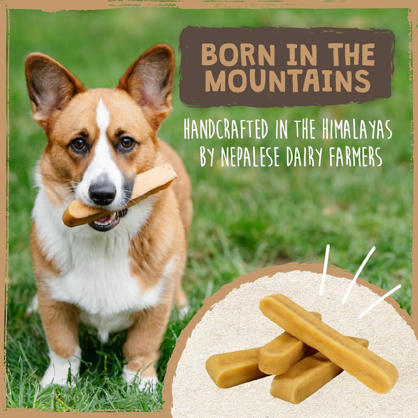 Mighty Paw Yak Cheese Dog Chews ?All-Natural Long Lasting Hard Chew for Aggressive Chewers ?High Protein, Odor-Free Dog Treat ?3 Ingredient Natural Yak Chews for Large Dogs ?(4 Pack)