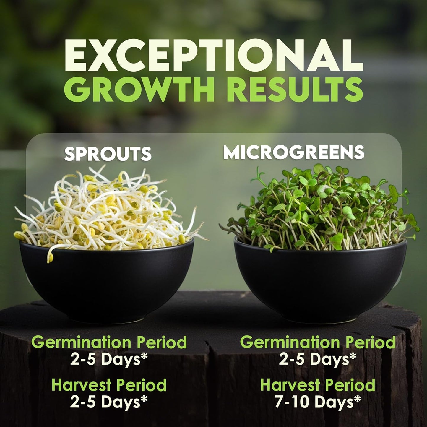 Nature Jim? Sprouts Organic Salad Mix ?Non-GMO Microgreen Seeds, Perfect for Growing Nutritious Organic Broccoli, Alfalfa, Radish & Clover Sprouts ?Easy Indoor/Outdoor Home Sprouting Seeds ?1lb
