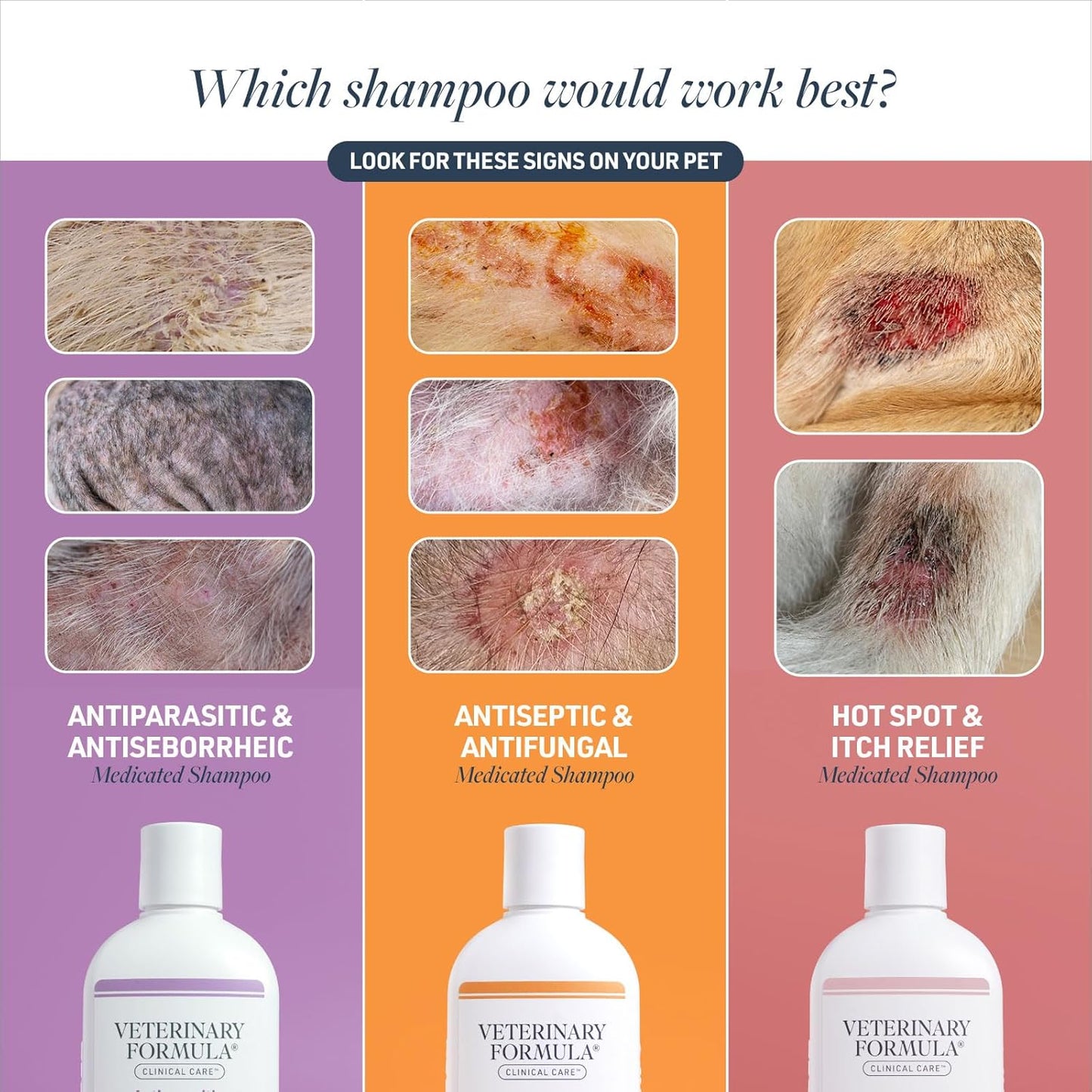 Veterinary Formula Clinical Care Antiseptic and Antifungal Medicated Shampoo for Dogs & Cats, 16 Fl Oz ?Helps Alleviate Scaly, Greasy, red Skin ?Paraben, Dye, Soap-Free (1 Pack)