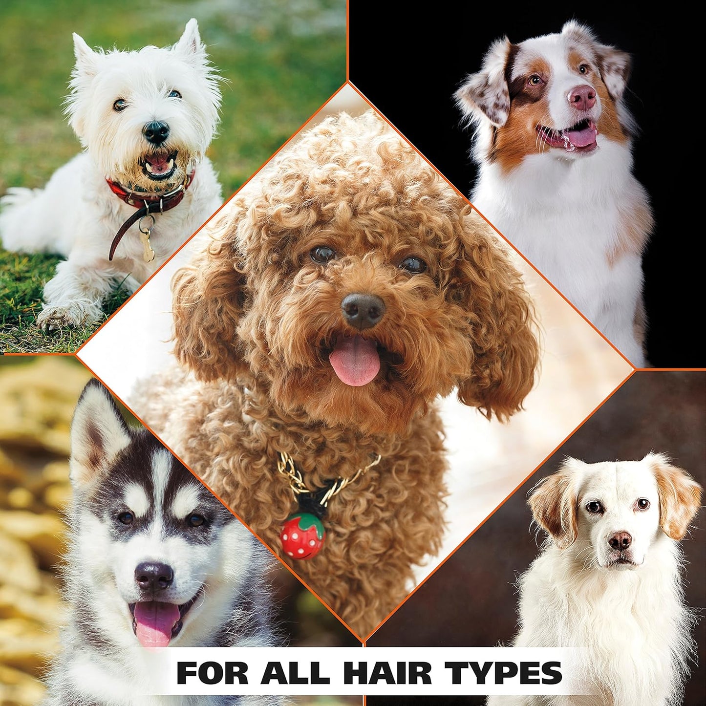Wahl USA Dry Skin & Itch Relief Pet Shampoo for Dogs ?Oatmeal Formula with Coconut Lime Verbena Scent & Pet Friendly Formula, 24 Oz - Model 820004A